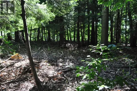 Lot 21 Bayshore Road Meaford ON N0H 1B0