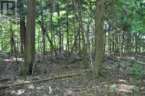 Lot 21 Bayshore Road Meaford ON N0H 1B0