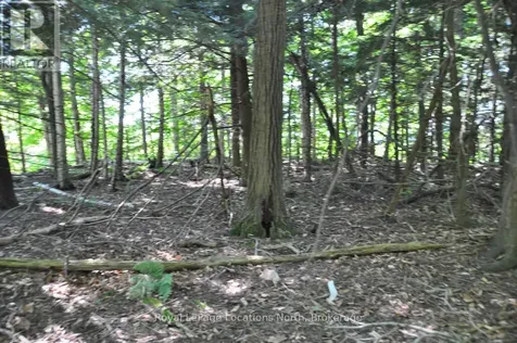 Lot 21 Bayshore Road Meaford ON N0H 1B0