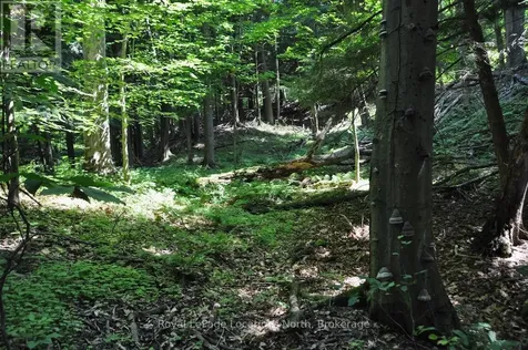 Lot 21 Bayshore Road Meaford ON N0H 1B0