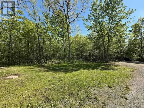 53 Coon Lake Road North Kawartha ON K0L 2H0