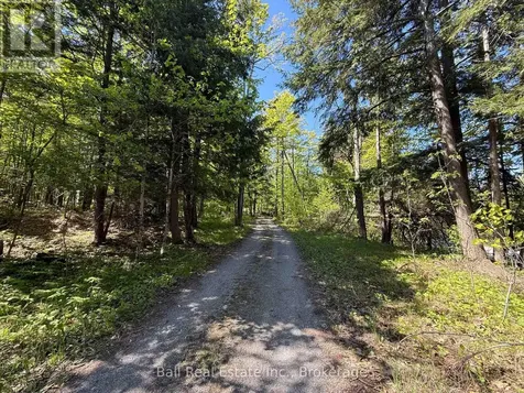 53 Coon Lake Road North Kawartha ON K0L 2H0