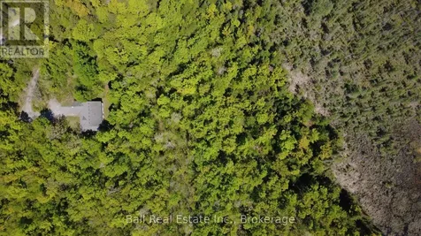 53 Coon Lake Road North Kawartha ON K0L 2H0
