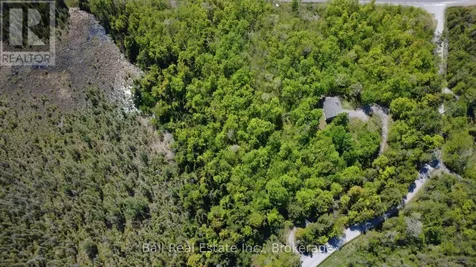 53 Coon Lake Road North Kawartha ON K0L 2H0