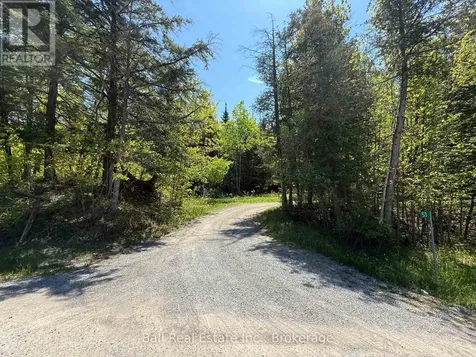 53 Coon Lake Road North Kawartha ON K0L 2H0