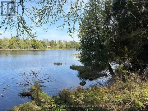 9 Sunnyshore Park Drive Mckellar ON P2A 0B5