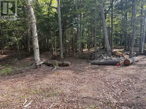 9 Sunnyshore Park Drive Mckellar ON P2A 0B5