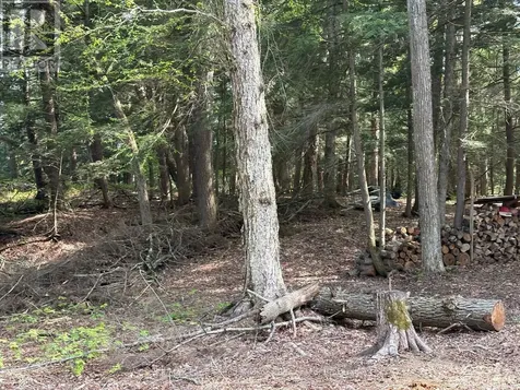 9 Sunnyshore Park Drive Mckellar ON P2A 0B5