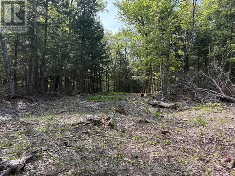 9 Sunnyshore Park Drive Mckellar ON P2A 0B5