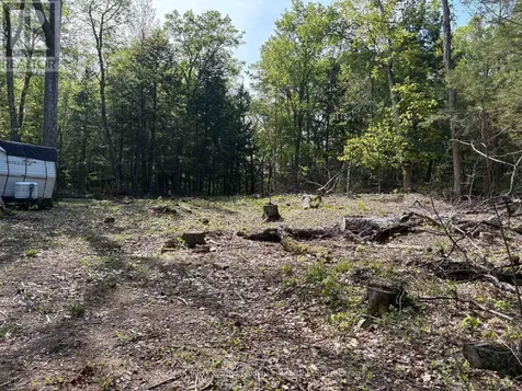 9 Sunnyshore Park Drive Mckellar ON P2A 0B5