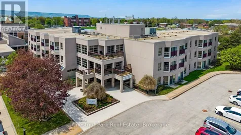 49 Raglan Street Collingwood ON L9Y 4X1