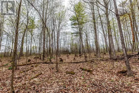 00000 Beaver Brook Road South Glengarry ON K0C 1S0