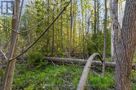 71 Maple Drive Northern Bruce Peninsula ON N0H 1Z0