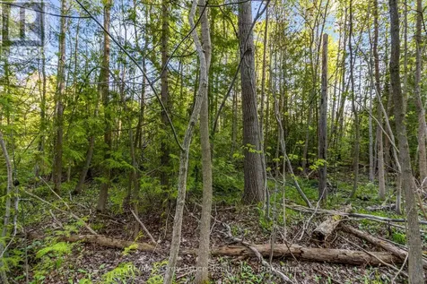 71 Maple Drive Northern Bruce Peninsula ON N0H 1Z0