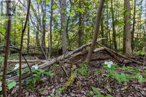 71 Maple Drive Northern Bruce Peninsula ON N0H 1Z0