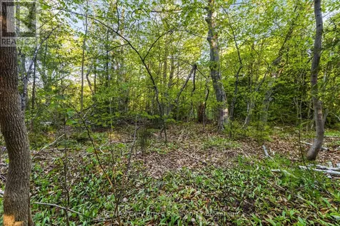 71 Maple Drive Northern Bruce Peninsula ON N0H 1Z0