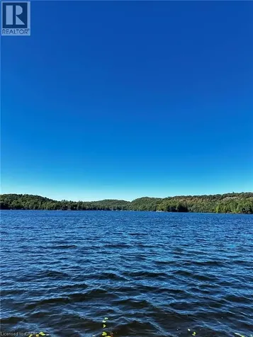 1257 Paint Lake Road Dorset ON P0A 1E0