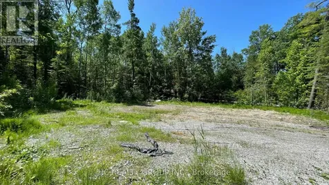 LT101 Silver Birch Drive Tiny ON L9M 0M5