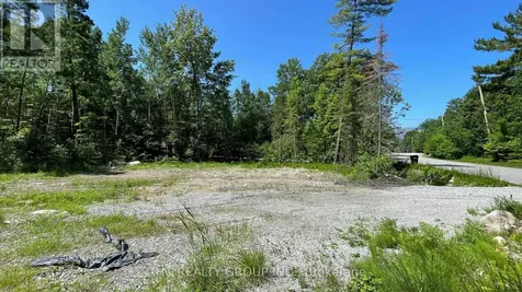 LT101 Silver Birch Drive Tiny ON L9M 0M5