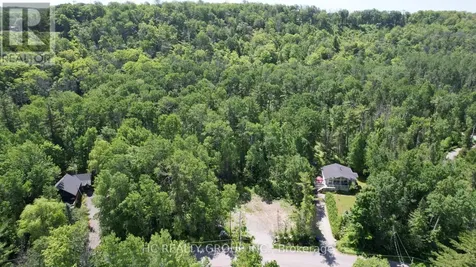 LT101 Silver Birch Drive Tiny ON L9M 0M5