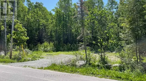 LT101 Silver Birch Drive Tiny ON L9M 0M5
