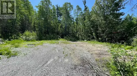 LT101 Silver Birch Drive Tiny ON L9M 0M5