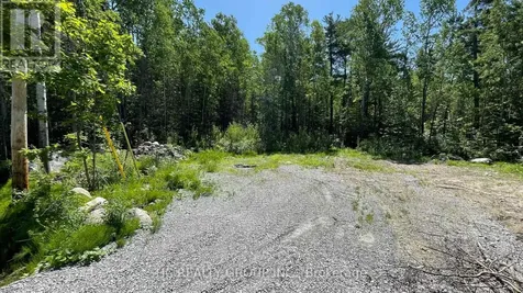 LT101 Silver Birch Drive Tiny ON L9M 0M5