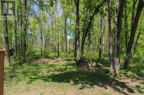 166 Adam And Eve Road Trent Lakes ON K0L 1J0