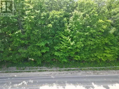 5 Overhead Bridge Road Tiny ON L0L 2J0