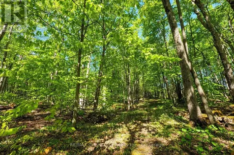 127 Crawford Drive South Bruce Peninsula ON N0H 2T0