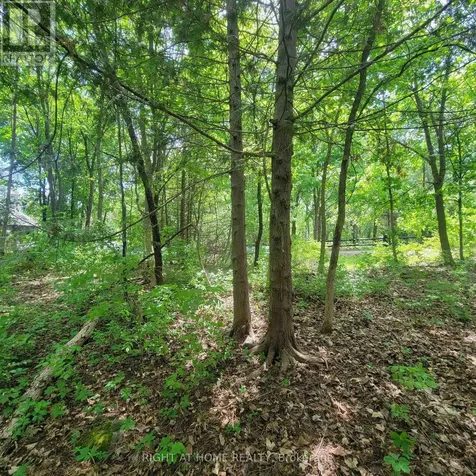 7 Beckenham Lane Ottawa ON K1J 7J4