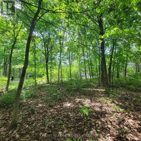 7 Beckenham Lane Ottawa ON K1J 7J4