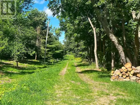 628190 15th Sideroad Mulmur ON L9V 0T9