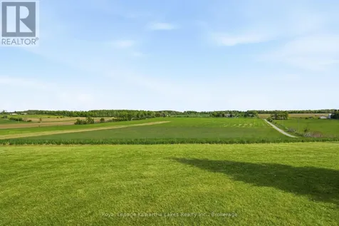 431 Meadowview Road Kawartha Lakes (emily) ON K0L 2W0