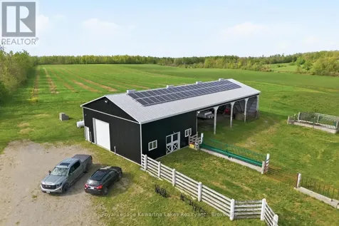 431 Meadowview Road Kawartha Lakes (emily) ON K0L 2W0
