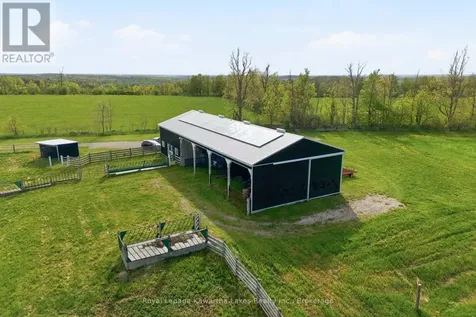 431 Meadowview Road Kawartha Lakes (emily) ON K0L 2W0