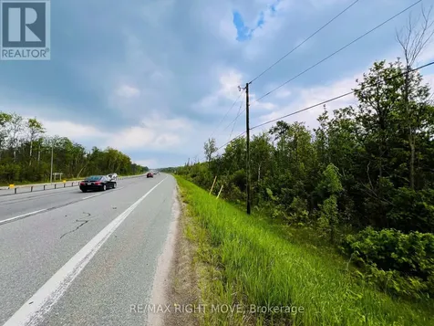 148 9 Line South Oro-medonte ON L0L 1T0
