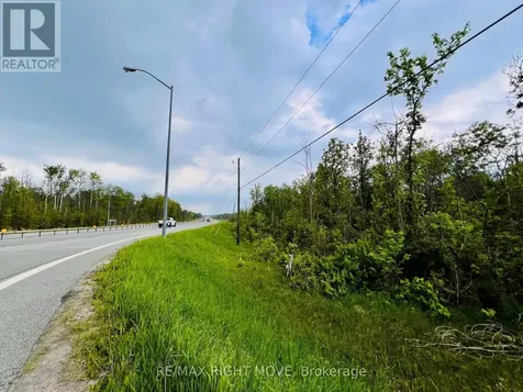 148 9 Line South Oro-medonte ON L0L 1T0