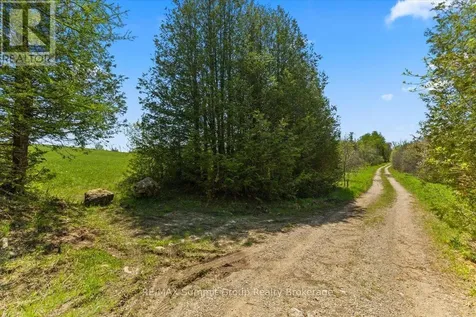 W Pt Lt 15 Sideroad 16b Grey Highlands ON N0C 1H0