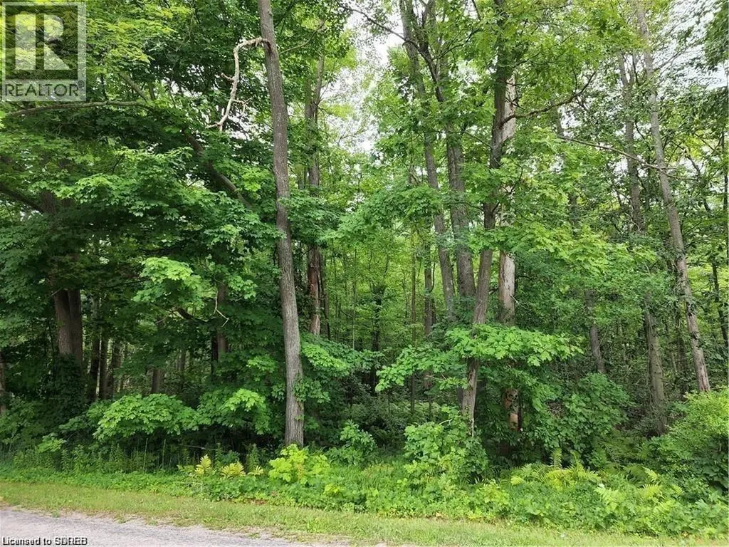 20 7 Concession Simcoe ON N3Y 4K1