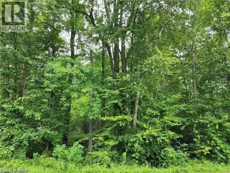 20 7 Concession Simcoe ON N3Y 4K1