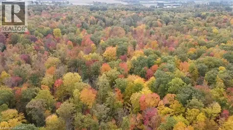 20 7 Concession Simcoe ON N3Y 4K1