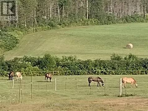 21237 Conc 6 Road North South Glengarry ON K0C 1Z0