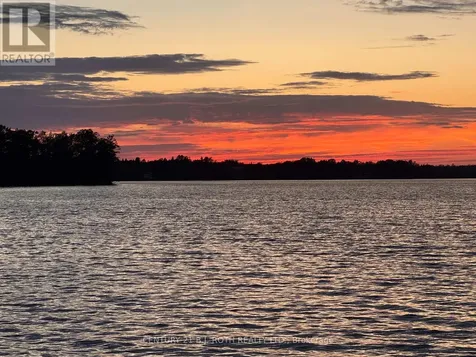 239 Avery Point Road Kawartha Lakes (carden) ON L0K 1W0
