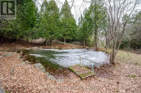 521 Concession Rd 8 West Trent Hills ON K0L 1Y0
