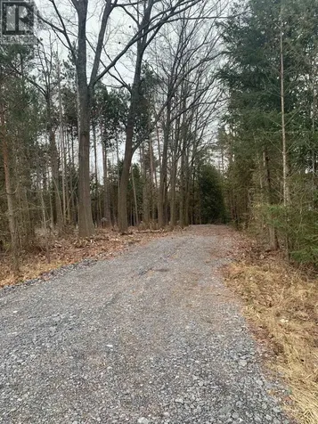 0 County Road 42 Trent Hills ON K0L 1Z0