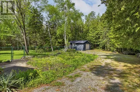 3786 Hwy 28 Highway Douro-dummer ON K0L 2H0