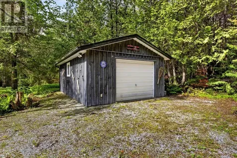3786 Hwy 28 Highway Douro-dummer ON K0L 2H0