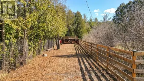 1647 Stenner Road Douro-dummer ON K0L 2H0
