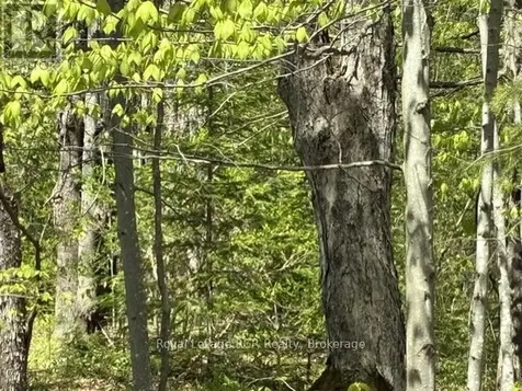 N/a Sutter Road Road West Northern Bruce Peninsula ON N0H 1W0